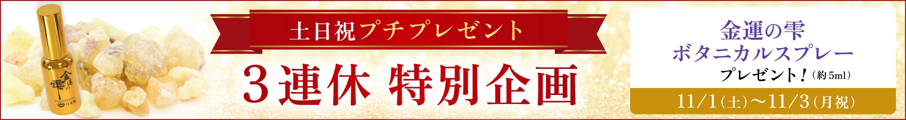 11月3連休特別企画(11/1-11/3)土日祝プチプレゼント