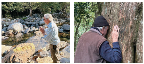 ネイチャーワールド×タンマヤ氏共同制作