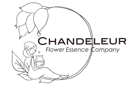 シャンドゥルール