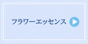 アーリーサマーminiセール2026　フラワーエッセンスグループ