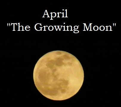 4月　グロウイングムーンの月のイメージ