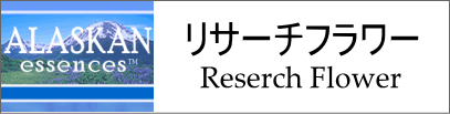 リサーチフラワー