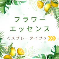 サマーセール　スプレータイプ