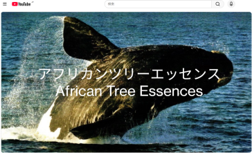 ホエールソングウィズダムの動画