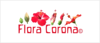 フローラコロナエッセンス