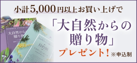 5000円以上お買い上げで「大自然からの贈り物」プレゼント